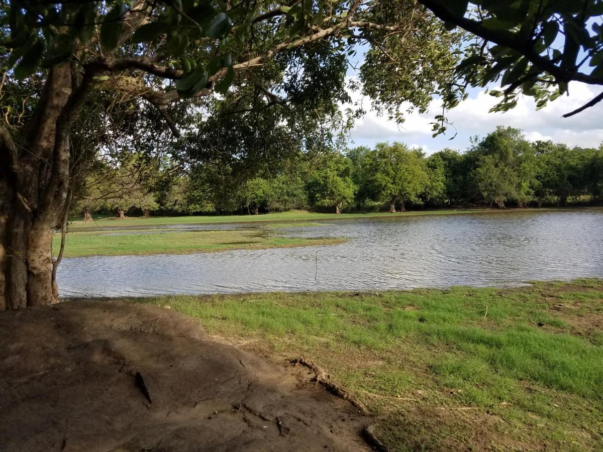 Sigiri Holiday Villa Sigiriya Bagian luar foto
