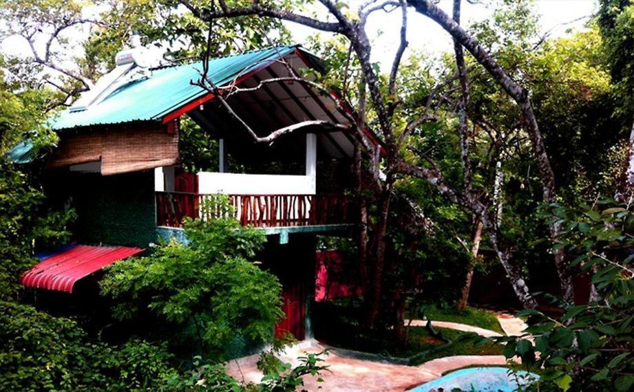 Sigiri Holiday Villa Sigiriya Bagian luar foto